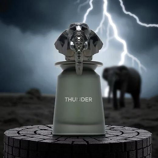 French Avenue - Thunder - for Men 100ml