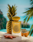 MUSK PIÑA COLADA - By Gulf Orchid