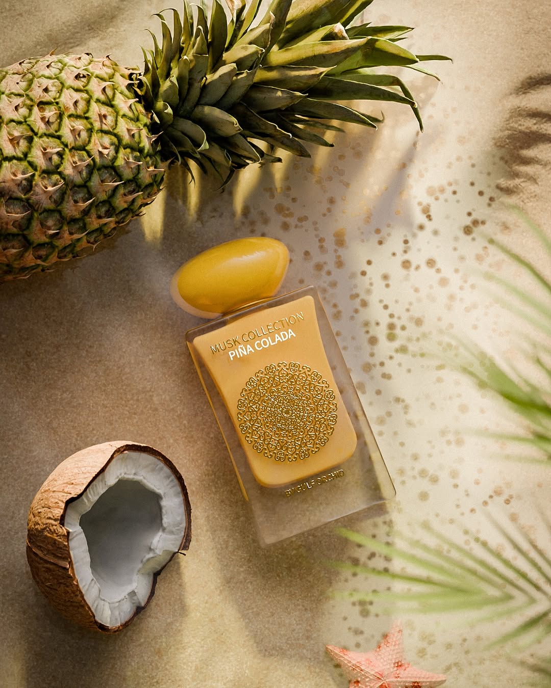 MUSK PIÑA COLADA - By Gulf Orchid