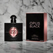Opus Black - Die Erleuchtung der Seele durch das Unendliche Geheimnis des Schwarzes