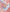 Musk Cotton Candy - By Gulf Orchid
