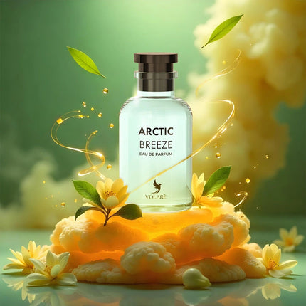 Arctic Breeze – Der Hauch des Polarwinds