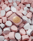 Musk Cotton Candy - By Gulf Orchid