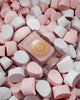 Musk Cotton Candy - By Gulf Orchid