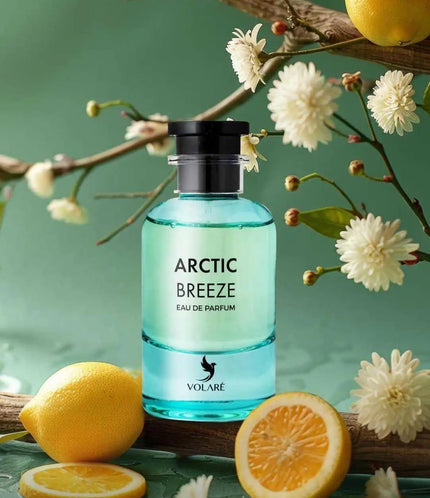 Arctic Breeze – Der Hauch des Polarwinds