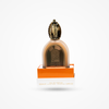 Fragrance World - Foggy Dusk Musky Series - for Women 100ml
