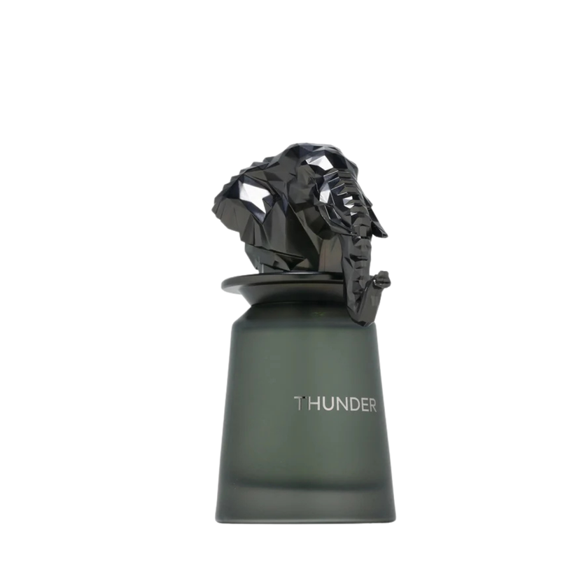 French Avenue - Thunder - for Men 100ml