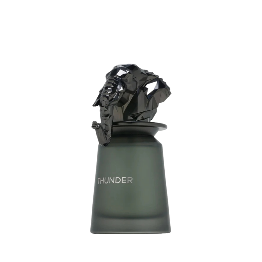 French Avenue - Thunder - for Men 100ml