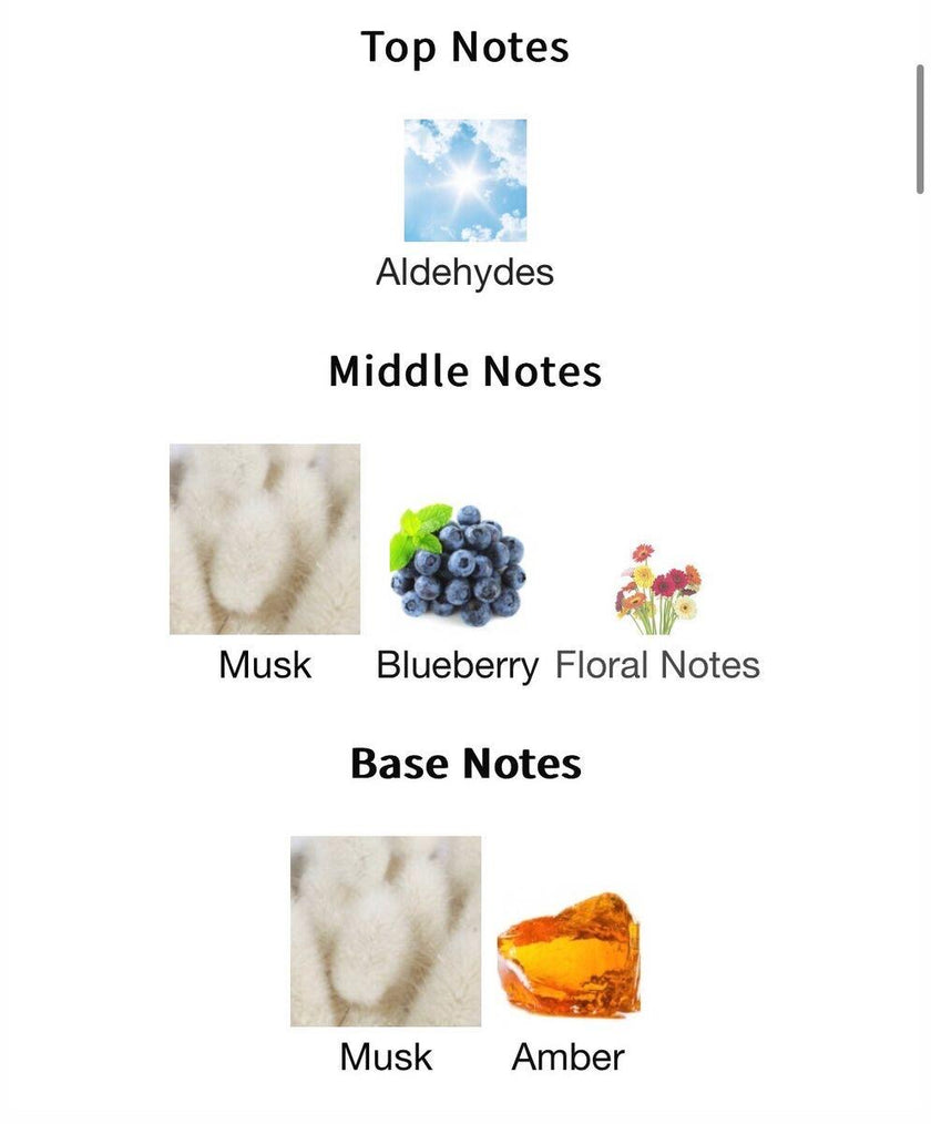 By Gulf Orchid - Musk Collection Blueberry - Unisex 60ml