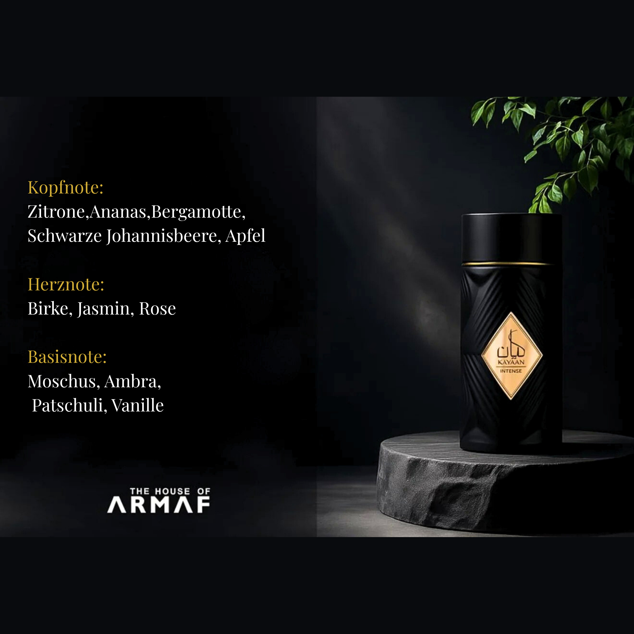 Armaf - Kayaan Intense - Unisex 100ml