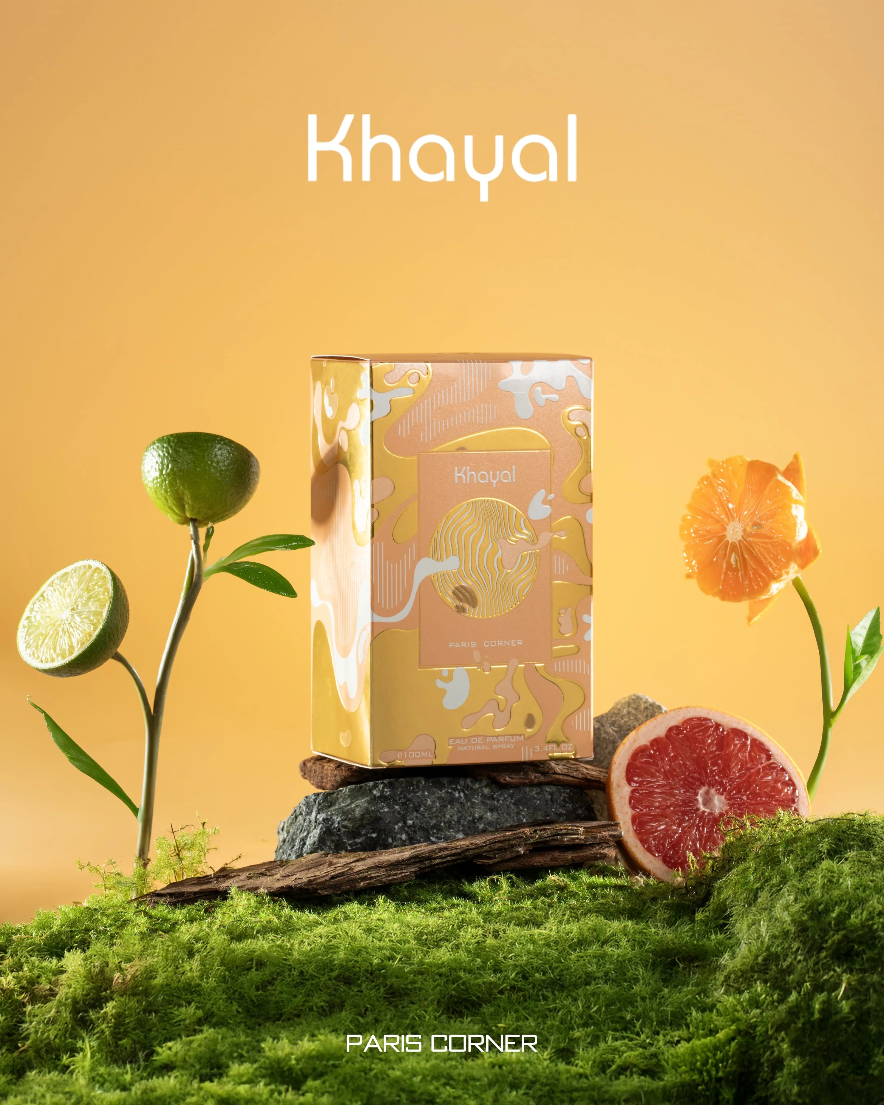 Khayal - Der zarte Hauch der Träume